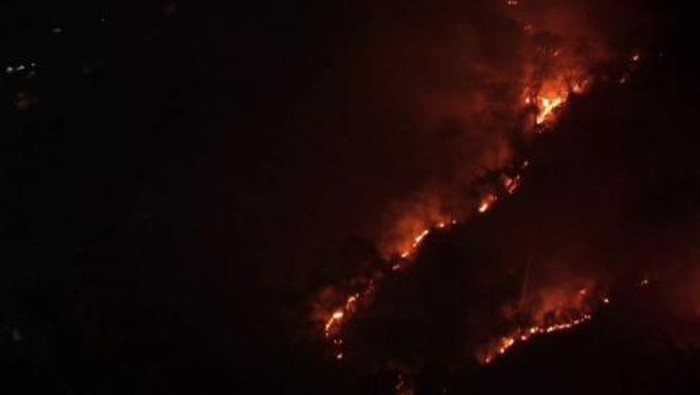 Kebakaran hutan di kaki Gunung Klabat, Minahasa Utara, telah melanda 275 hektare lahan.
