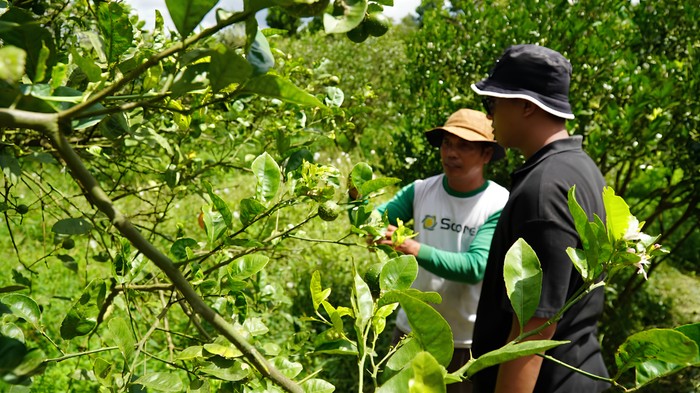Kisah Alumni Prasetiya Mulya Bangun Agribisnis & Berdayakan Warga Desa