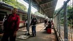 KRL Makin Padat, KAI Usul Impor Kereta Bekas untuk Tambah Armada