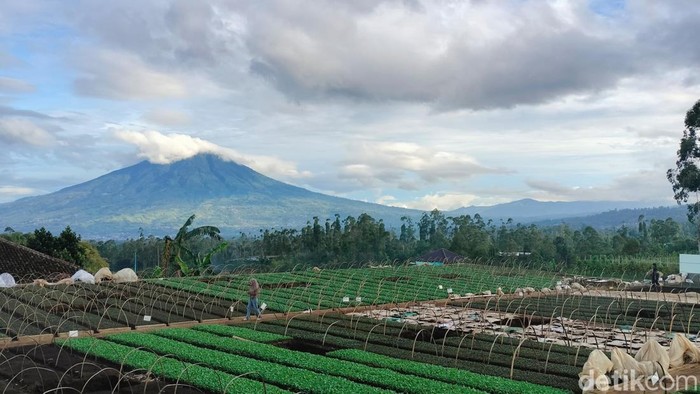 - Lanskap Pasirwangi Garut