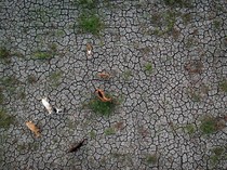 2.897 Hektare Sawah di Banten Terdampak Kekeringan