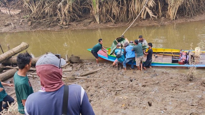 Nelayan yang diterkam buaya dievakuasi