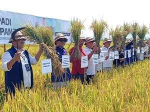 Pemkab Gianyar Pelajari Modernisasi Kawasan Padi 100 Hektare di Jembrana