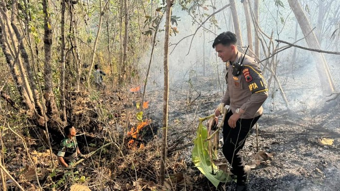 Pemadaman kebakaran di kawasan hutan Perhutani di Desa Kaliguwo, Kecamatan Kaliworo, Wonosobo, Kamis (24/9/2026).