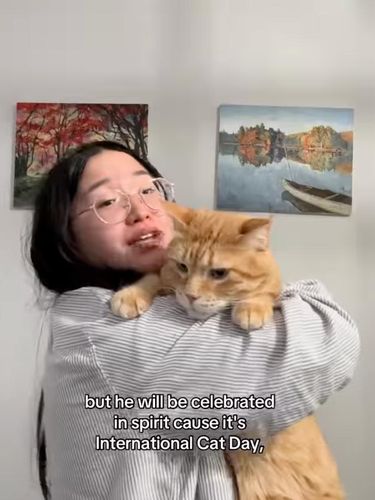 Pernikahan Tema Kucing
