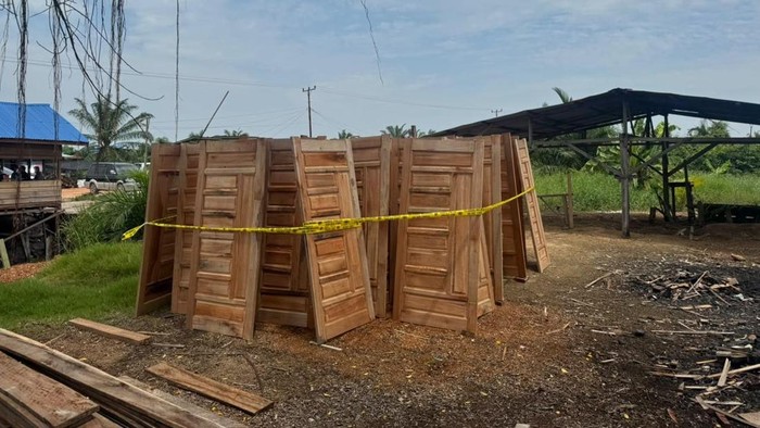 Polisi membongkar pengolahan kayu diduga hasil illegal logging di Rokan Hilir, Riau dan menyita ratusan batang kayu, Selasa (22/9/2026).