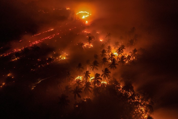 A bird flies over Al Ikhlas Grand Mosque, which is shrouded in haze from wildfires, in Ketapang regency, West Kalimantan province, Indonesia, August 30, 2026. From January to July this year, fires burned around 202,000 hectares (almost 500,000 acres) of land in Indonesia, with West Kalimantan being the worst-hit province, with more than 38,000 hectares burned, government data shows. Firefighting volunteer Elly Marlina, 46, says the fires are worse than normal this year and affecting forests and peatland still struggling to recover from previous seasonal fires, prompting concern about their future. 