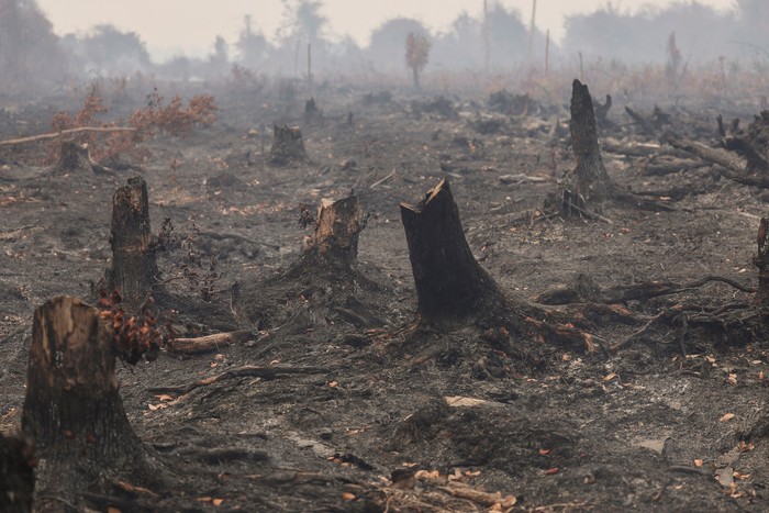 A bird flies over Al Ikhlas Grand Mosque, which is shrouded in haze from wildfires, in Ketapang regency, West Kalimantan province, Indonesia, August 30, 2026. From January to July this year, fires burned around 202,000 hectares (almost 500,000 acres) of land in Indonesia, with West Kalimantan being the worst-hit province, with more than 38,000 hectares burned, government data shows. Firefighting volunteer Elly Marlina, 46, says the fires are worse than normal this year and affecting forests and peatland still struggling to recover from previous seasonal fires, prompting concern about their future. 
