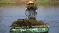 Rumput Laut Gracilaria Digenjot, KKP Bidik Investasi Industri