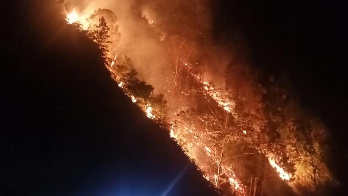 Sebanyak 5 hektare hutan lindung di Battang Barat, Kota Palopo, Sulawesi Selatan (Sulsel) mengalami kebakaran hebat.