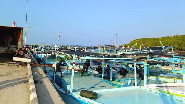 Suasana Kampung Nelayan Merah Putih (KNMP) Tongke-tongke di Kabupaten Sinjai, Sulawesi Selatan, Kamis (24/9/2026). Suasana Kampung Nelayan Merah Putih (KNMP) Tongke-tongke di Kabupaten Sinjai, Sulawesi Selatan, Kamis (24/9/2026). (CNBC Indonesia/Martyasari Rizky)
