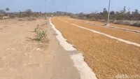 Saat Jalanan Mandalika Viral, Jadi Tempat Jemur Tembakau Warga Jelang MotoGP