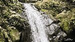 Curug Naga, Keindahan yang Menanti di Balik Trek Menantang