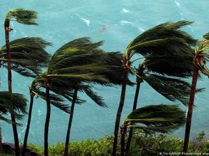 Bagaimana El Nino Pengaruhi Siklon Tropis dan Hurikan di Seluruh Dunia?