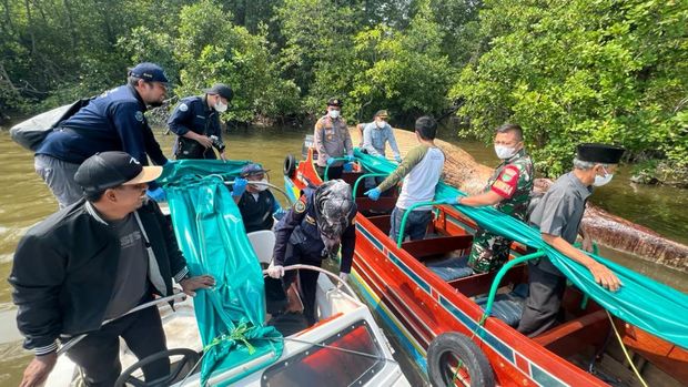 Bangkai paus 8 meter yang terdampar di Inhil dievakuasi ke Perairan Menteban, Jumat (25/9/2026).