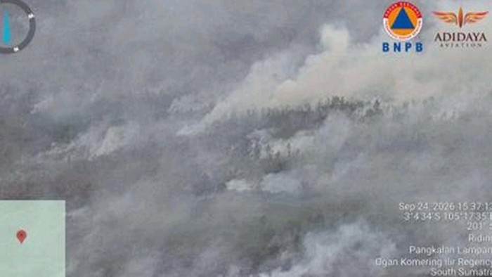 Lahan terbakar di Sumsel