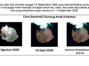 Anak Krakatau Meluas Hingga 32,8 Hektar Usai Erupsi 224 Kali