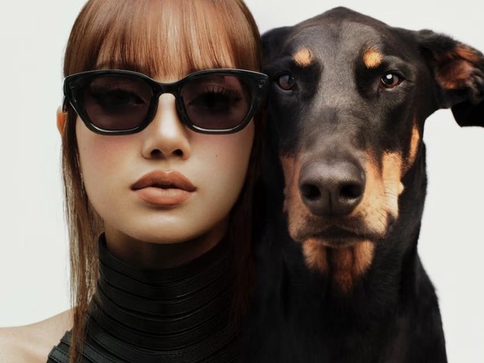 Meta x Lisa BLACKPINK