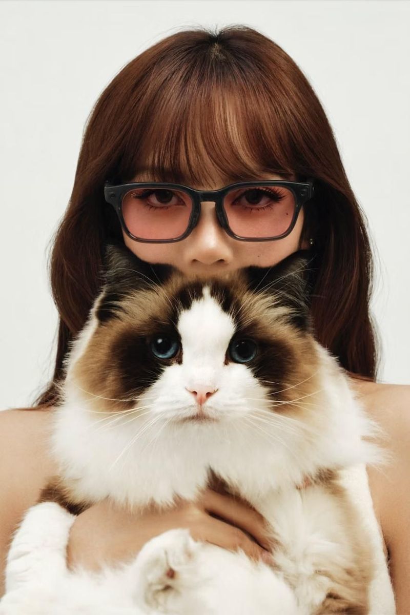 Meta x Lisa BLACKPINK