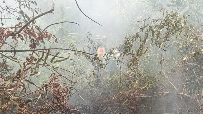 Petugas memadamkan karhutla di Taman Nasional Way Kambas, Lampung Selatan