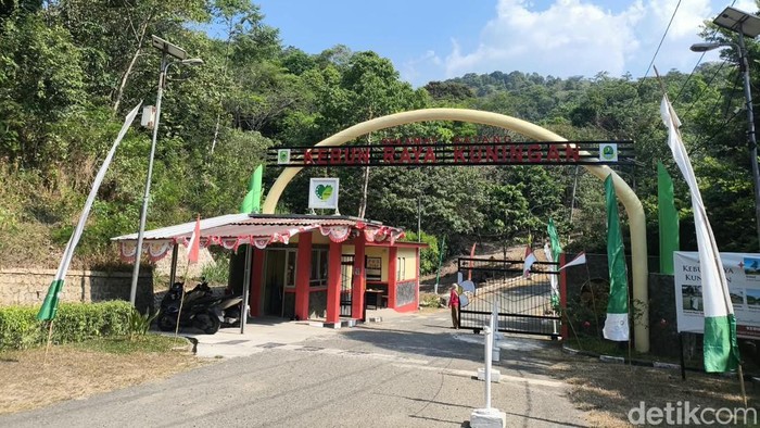 Suasana Kebun Raya Kuningan