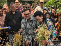 Parkir di Alkid Jogja Bakal Digital Buntut Food Truck Bolosego Kena Pungli