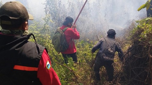 Petugas tim pemadam gabungan ketika melakukan pemadaman api di Bukit Setampol, kawasan TNGR Resort Torean, Lombok Utara, NTB. Jumat (25/9/2026). (Istimewa)