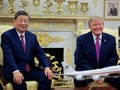 Trump dan Xi Jinping Ketemu Bahas Masa Depan AI, Apa Hasilnya?