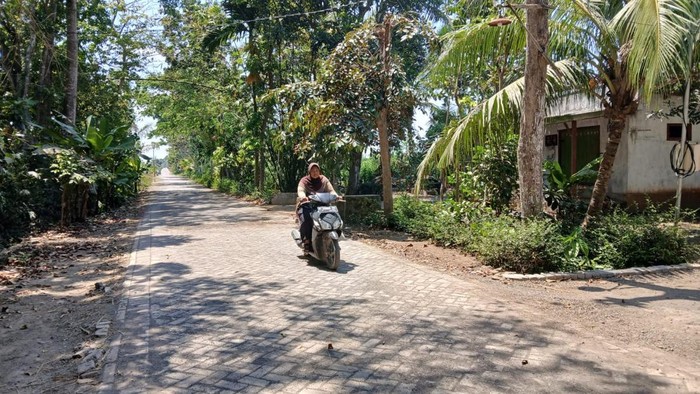 Jalan Dusun Ringinagung, Desa Pesanggaran, Kecamatan Pesanggaran, Banyuwangi