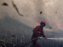 BRIN Kembangkan Teknologi Baru untuk Padamkan Kebakaran Hutan: Bahan dari Singkong