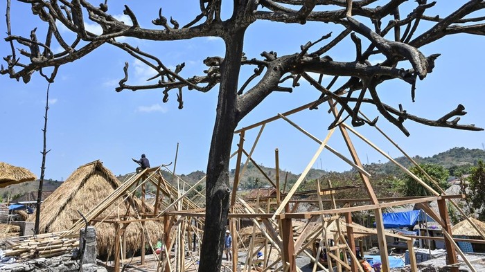 Warga memasang rangka atap dari bambu untuk bangunan rumah adat pascakebaran di Kampung adat Sade, Desa Rembitan, Kecamatan Pujut, Praya, Lombok Tengah, NTB, Sabtu (26/9/2026). Warga terdampak kebakaran di Kampung adat Sade mulai membangun kembali rumah mereka secara mandiri dan pembangunan dilakukan meski desain penataan kawasan yang disiapkan Pemerintah Provinsi NTB belum rampung dan belum disosialisasikan kepada warga. ANTARA FOTO/Ahmad Subaidi