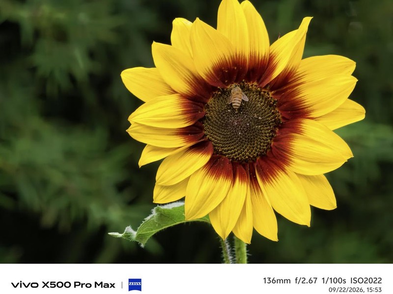 Hasil Fotografi Vivo X500 Pro Max di Shanghai