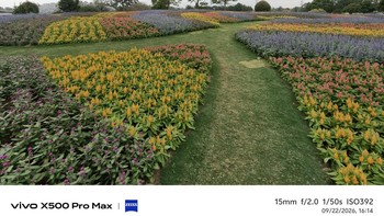 Vivo X500 Pro Max menjanjikan kualitas teknologi. Sederet inovasi disematkan untuk fotografi smartphone berkelas. Hasil jepretan outdoor standar pun menghasilkan warna yang dalam. Foto: Fitraya Ramadhanny/detikINET
