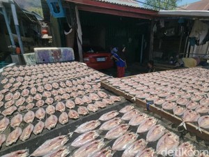 Berkah Kemarau, Produsen Ikan Asin di Polman Banjir Produksi