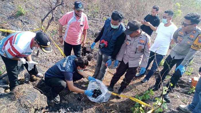 Petugas melakukan olah TKP penemuan kerang manusia di kawasan Hutan Petak 23 A, Desa Tenggerejo, Kecamatan Kedungpring, Lamongan