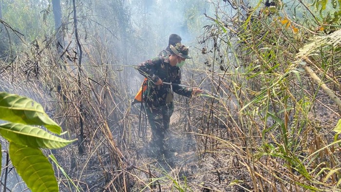 Petugas memadamkan karhutla di Taman Nasional Way Kambas