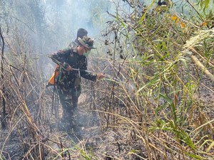 3 Hari Water Bombing, Karhutla Way Kambas Belum Juga Padam