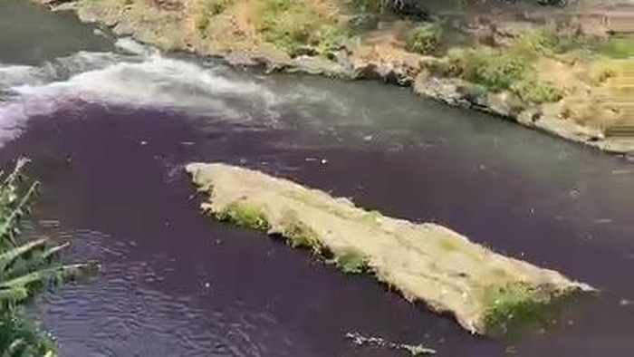 Air Sungai Brantas Malang mendadak berubah warna jadi ungu gelap