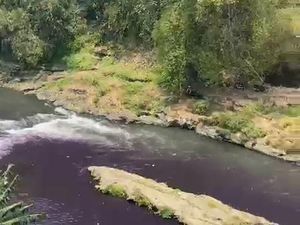 Ini Hasil Lab Air Sungai Brantas yang Sempat Berubah Jadi Ungu Gelap