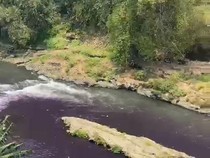Sungai Brantas Berubah Ungu, Walkot Malang Siapkan Sanksi Pencemaran
