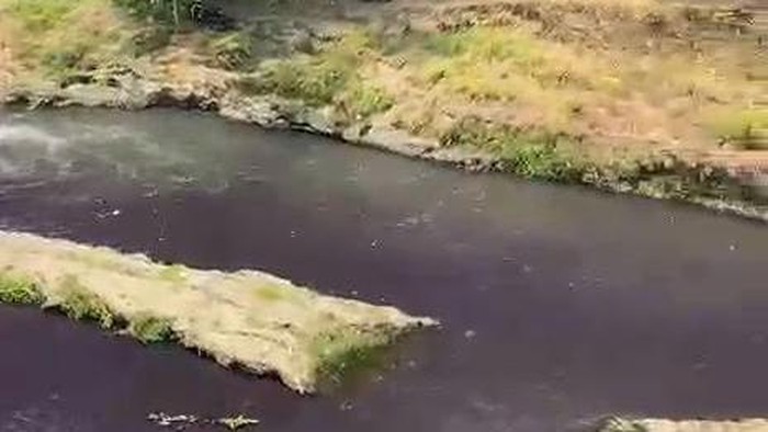 Air Sungai Brantas Malang mendadak berubah warna jadi ungu gelap