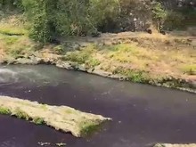 Jasa Tirta Selidiki Air Sungai Brantas Malang Berubah Warna Ungu Gelap