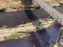 Saat Sungai Brantas Berubah Warna Jadi Ungu, Apa yang Terjadi?