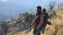 Karhutla Rinjani Capai 1.098 Hektare, Pendaki Dialihkan ke Sembalun