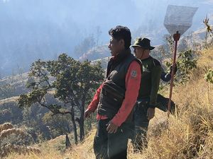 Rinjani Masih Membara, Jalur Pendakian Senaru dan Torean Ditutup