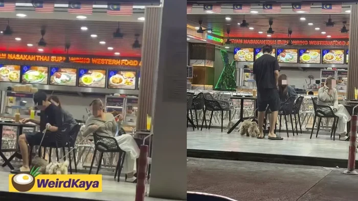 Viral! Pelanggan Bawa Anjing ke Kedai Makan, Berujung Tuai kecaman