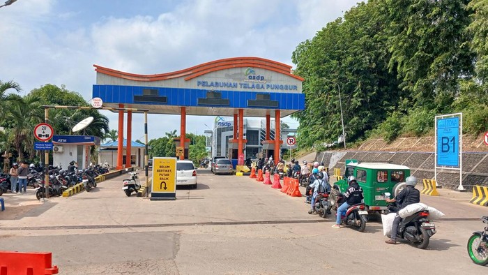 Antrian di Pelabuhan ASDP Telaga Punggur, Batam. (Alamudin/detikSumut)