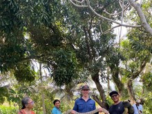 King Kobra 3 Meter Masuk Rumah Warga Tabanan, Ngumpet 2 Hari di Bawah Kasur
