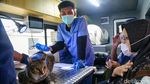 Jemput Bola, Anabul Warga Dicek Kesehatan di Klinik Keliling