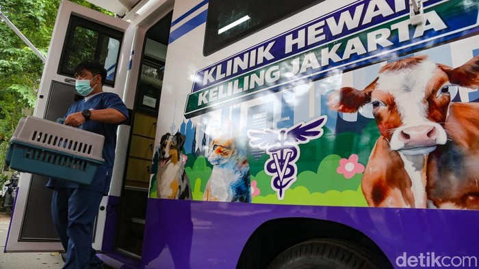 Dokter hewan memeriksa kesehatan seekor kucing di mobil klinik keliling di RW 02 Bangka, Jakarta Selatan, Senin (28/9/2026). Suku Dinas Ketahanan Pangan, Kelautan, dan Pertanian (KPKP) Jakarta Selatan kembali menggelar layanan Mobil Klinik Hewan Keliling.